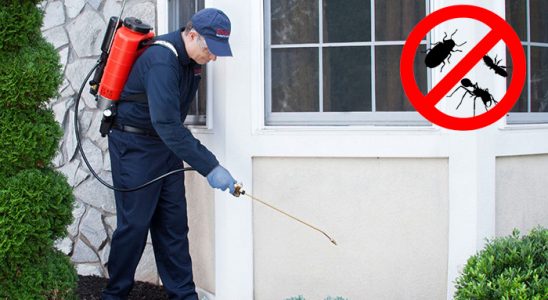 Gültepe Kemirgen İlaçlama böcek ilaçlama ve haşere kontrolü — ilaclama-tr.com